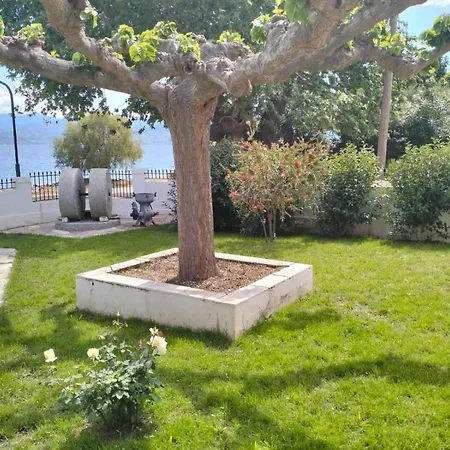Tas Millstone Seaside House *